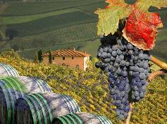 wczasy, wakacje, noclegi, Toskania